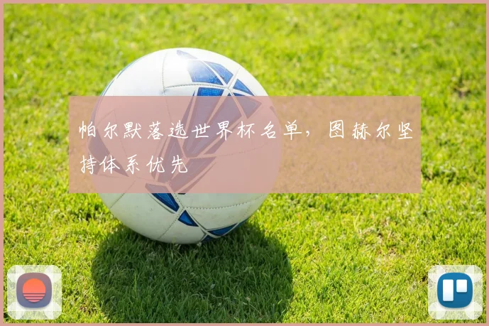 帕尔默落选世界杯名单,图赫尔坚持体系优先