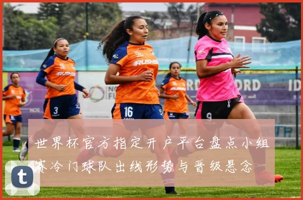世界杯官方指定开户平台盘点小组赛冷门球队出线形势与晋级悬念