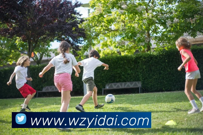 App Interface Preview