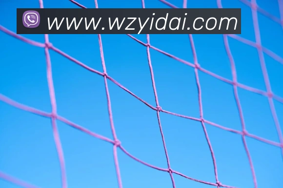 开云官方手机登录APP 封面图